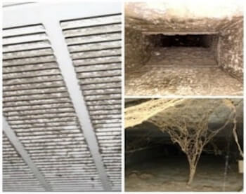 Disgusting air ducts