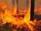 Eagle scout saves house from raging wildfire