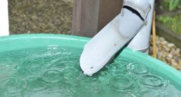 The Simplest Way to Collect Rainwater