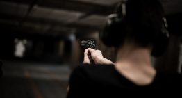 Best Handguns Under $500