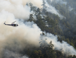 What Wildfires Are Doing to Our Respiratory Systems