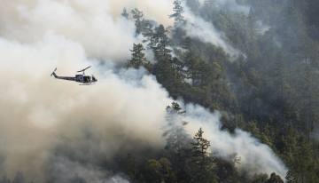 What Wildfires Are Doing to Our Respiratory Systems
