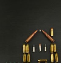 Home Defense and Survival Summit