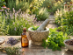 5 natural survival medicines your grandparents used