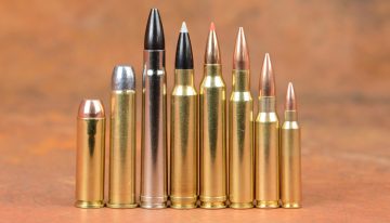 This could trigger a Nationwide ammo shortage