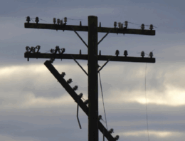 YOUR EMERGENCY COMMUNICATION PLAN