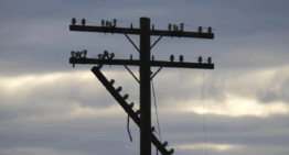 YOUR EMERGENCY COMMUNICATION PLAN