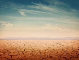 4 drought survival tips for the current crisis