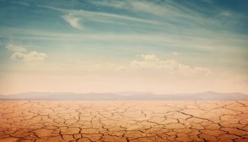 4 drought survival tips for the current crisis