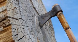 Axe throwing homeowner chops down intruder