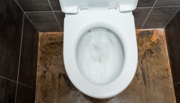 California “top cop” loses gun in toilet
