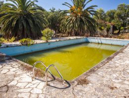 Family of five survives on food growing in abandoned pool