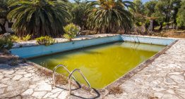 Family of five survives on food growing in abandoned pool