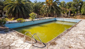 Family of five survives on food growing in abandoned pool