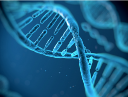 COMMUNIST TAKEOVER OF THE WORLD’S  PERSONAL INFORMATION