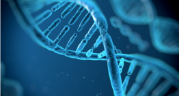 COMMUNIST TAKEOVER OF THE WORLD’S  PERSONAL INFORMATION