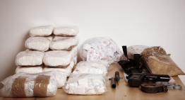 FOREIGN CRIME MARCHING ACROSS  THE US BORDER