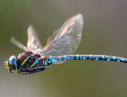 THE FUTURE OF SPYING IS HERE