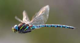 THE FUTURE OF SPYING IS HERE