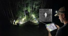 Nightwalker spotted by Arkansas man’s drone