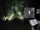 Nightwalker spotted by Arkansas man’s drone