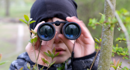 Simple, Yet Powerful Tactics For Resisting Tyranny