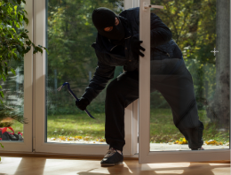 HOME DEFENSE FOR THE COMING YEAR