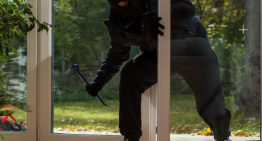 HOME DEFENSE FOR THE COMING YEAR